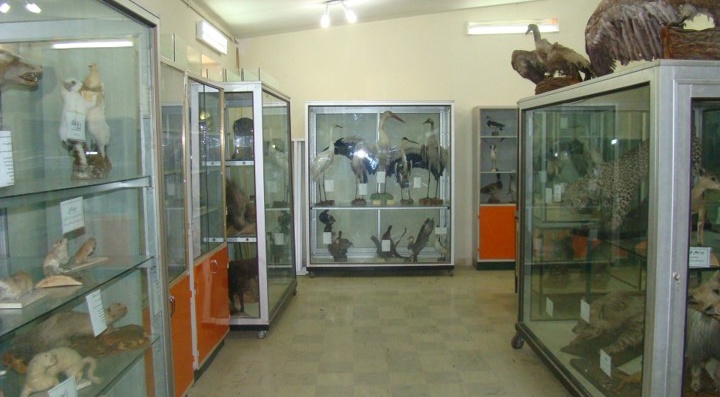 ایستگاه علی آباد