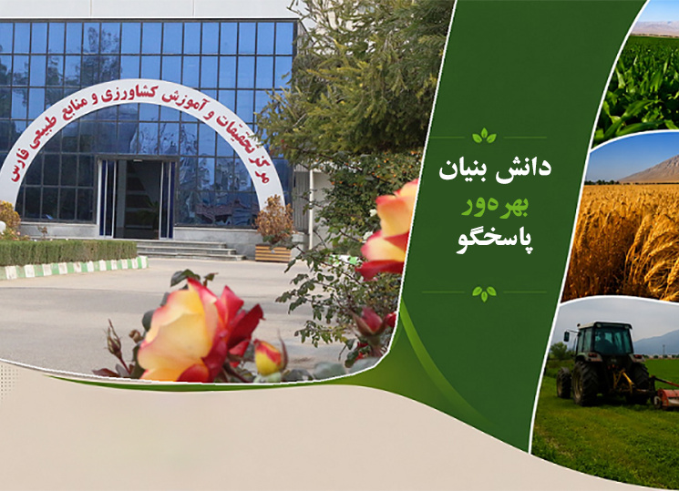 بنر های اصلی