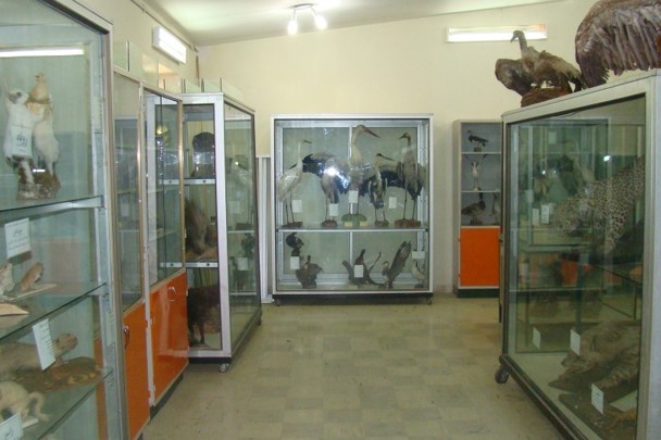 ایستگاه علی آباد