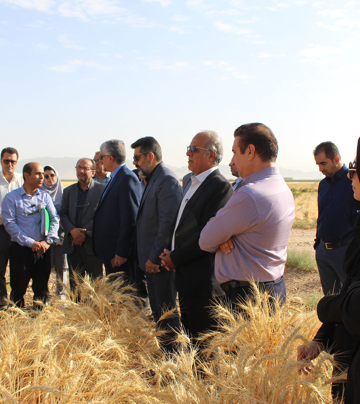 بازدید از توان پژوهشی و تولید مرکز تحقیقات و آموزش کشاورزی و منابع طبیعی استان فارس در تولید بذرهای اصلاح‌شده و معرفی ارقام جدید