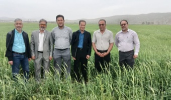 گامی بلند در ارتقاء جهش تولیدات زراعی و دامی؛ بازدید میدانی از ایستگاه آموزشی و تحقیقات کشاورزی علی آباد