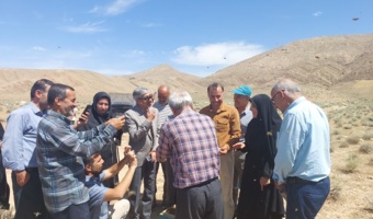 «کیلگیری» عسل در زنبورستان پیشرو؛ نوآوری در اصلاح نژاد زنبور و اهمیت گردهافشانی در فارس