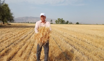 اعتبارسنجی فناوری‌های نوین در راستای افزایش بهره‌وری، پایداری نظام‌های زراعی و مدیریت پایدار منابع آب و خاک در ایستگاه تحقیقات کشاورزی داراب