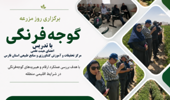 محققان مرکز تحقیقات و آموزش کشاورزی و منابع طبیعی استان فارس، آخرین یافته‌های پژوهشی مدیریت گل جالیز را در مزارع صیفی‌جات ارسنجان ارائه کردند