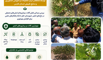بررسی میدانی نقش آفات، بیماری‌ها و تنش‌های محیطی در باغ‌های انجیر شهرستان خفر با ارائه راهکارهای علمی برای افزایش بهره‌وری
