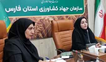 با حضور رئیس اداره آموزش کارکنان مرکز؛ دستورالعمل نیازسنجی دورههای آموزشی سهماهه سوم سال ۱۴۰۵ برای رابطان آموزشی بخش کشاورزی فارس تشریح شد
