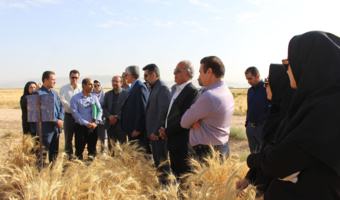 بازدید از توان پژوهشی و تولید مرکز تحقیقات و آموزش کشاورزی و منابع طبیعی استان فارس در تولید بذرهای اصلاح‌شده و معرفی ارقام جدید