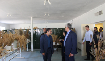 از کلکسیون علف‌های هرز تا انسکتاریوم؛ بازدید رئیس سازمان جهاد کشاورزی فارس از بخش گیاه‌پزشکی مرکز