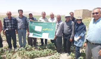یافته‌های پژوهشی مرکز تحقیقات و آموزش کشاورزی و منابع طبیعی استان فارس در زمینه کاربرد هورمون پیکس و کشاورزی حفاظتی به بهره‌برداران منتقل شد