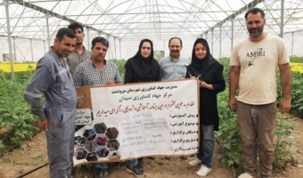 روز مزرعه آموزشی در شهرک گلخانه‌ای اسماعیل‌آباد سیدان؛ تأکید بر مدیریت تلفیقی آفات و بیماری‌ها