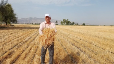 اعتبارسنجی فناوری‌های نوین در راستای افزایش بهره‌وری، پایداری نظام‌های زراعی و مدیریت پایدار منابع آب و خاک در ایستگاه تحقیقات کشاورزی داراب