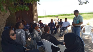 در روز مزرعه؛ اصول به‌زراعی ذرت علوفه‌ای با تدریس عضو هیئت علمی مرکز تحقیقات و آموزش کشاورزی و منابع طبیعی فارس تشریح شد