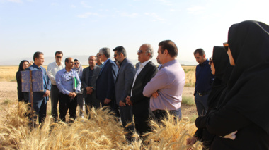 بازدید از توان پژوهشی و تولید مرکز تحقیقات و آموزش کشاورزی و منابع طبیعی استان فارس در تولید بذرهای اصلاح‌شده و معرفی ارقام جدید