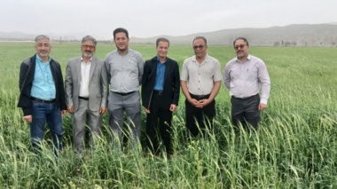 گامی بلند در ارتقاء جهش تولیدات زراعی و دامی؛ بازدید میدانی از ایستگاه آموزشی و تحقیقات کشاورزی علی آباد
