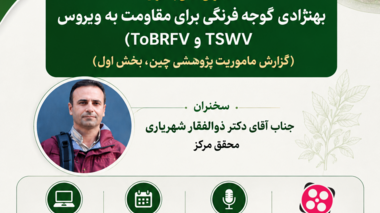 در سخنرانی علمی مرکز تحقیقات و آموزش کشاورزی و منابع طبیعی استان فارس؛ بررسی نقش GWAS و CRISPR/Cas9 در اصلاح گوجه‌فرنگی مقاوم به ویروس